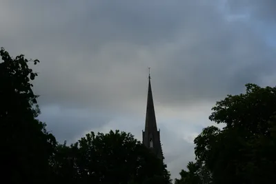 DSC_2699 (Large).JPG